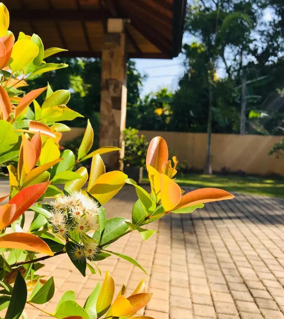 Grand Haven Luxury Villa Kandy Bed & Breakfast